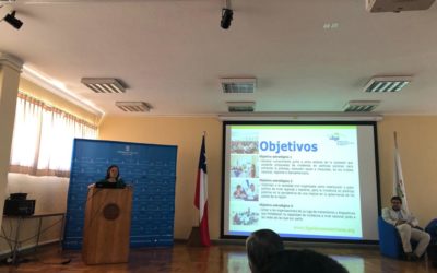 Francis Valverde, vice-presidenta de La Liga Iberoamericana presente en el Seminario :»Desafíos y tensiones entre ONG y Estado en la gestión de Servicios Sociales» Chile.